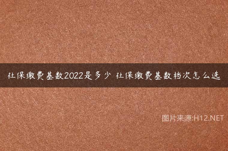社保缴费基数2022是多少 社保缴费基数档次怎么选