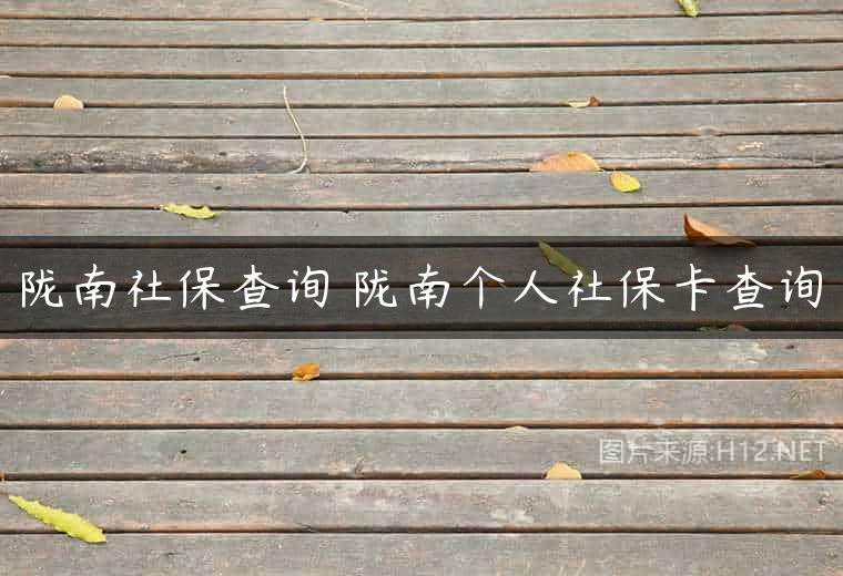 陇南社保查询 陇南个人社保卡查询