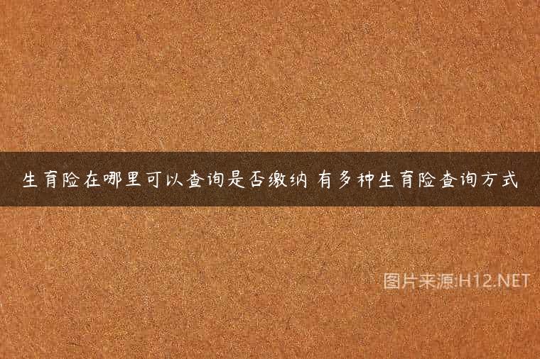 生育险在哪里可以查询是否缴纳 有多种生育险查询方式