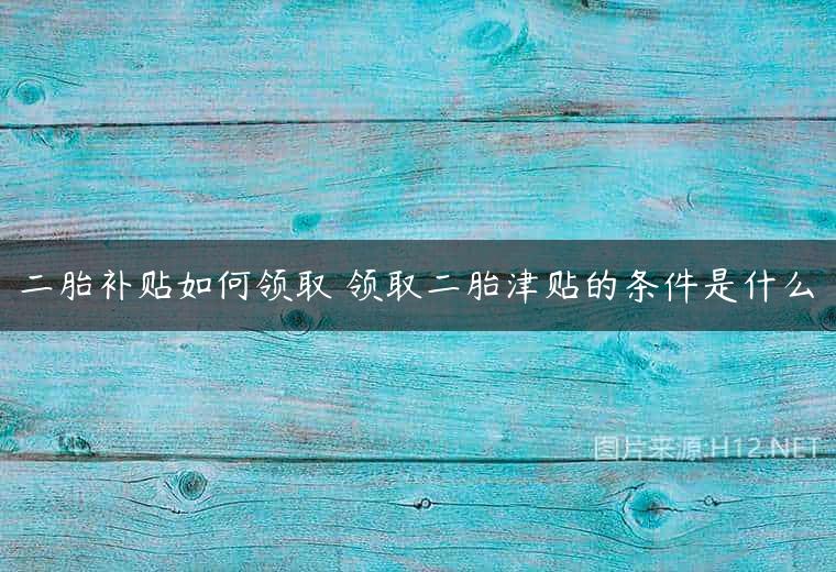 二胎补贴如何领取 领取二胎津贴的条件是什么