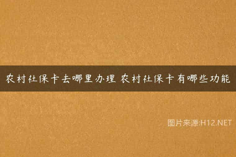 农村社保卡去哪里办理 农村社保卡有哪些功能