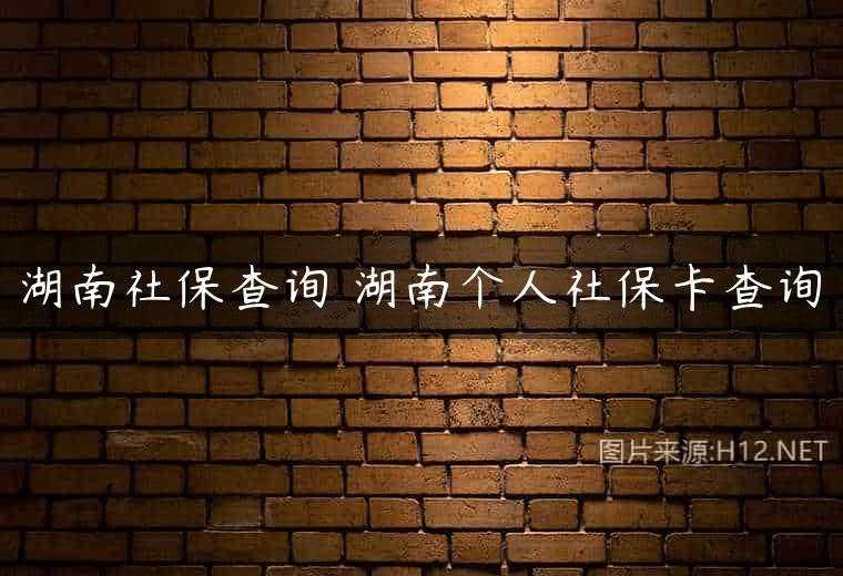 湖南社保查询 湖南个人社保卡查询
