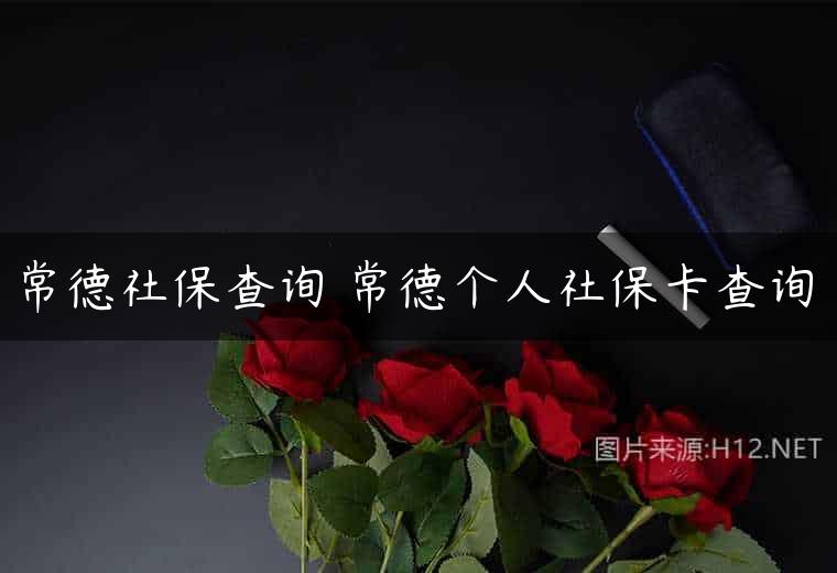 常德社保查询 常德个人社保卡查询