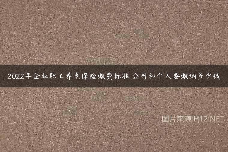 2022年企业职工养老保险缴费标准 公司和个人要缴纳多少钱