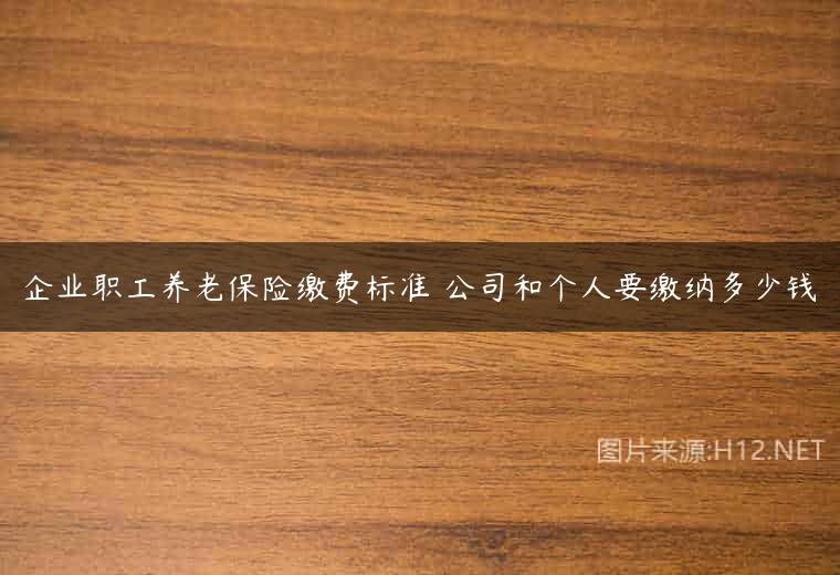 企业职工养老保险缴费标准 公司和个人要缴纳多少钱