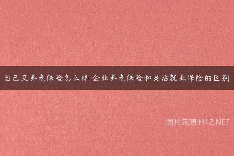 自己交养老保险怎么样 企业养老保险和灵活就业保险的区别