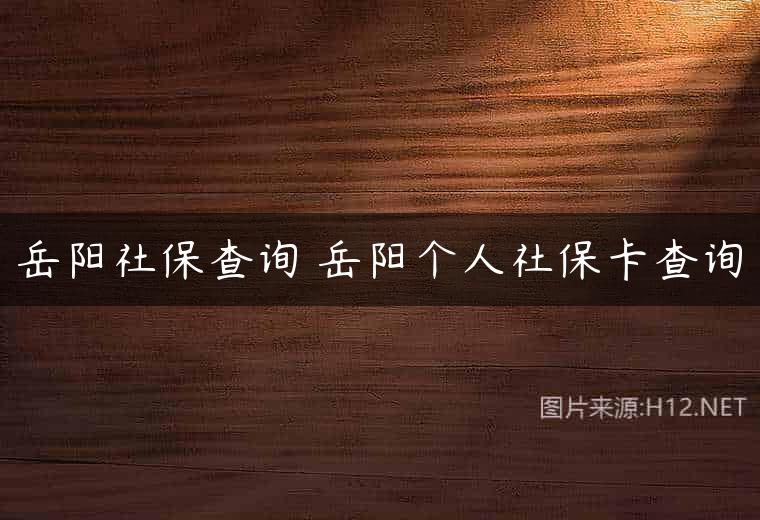 岳阳社保查询 岳阳个人社保卡查询