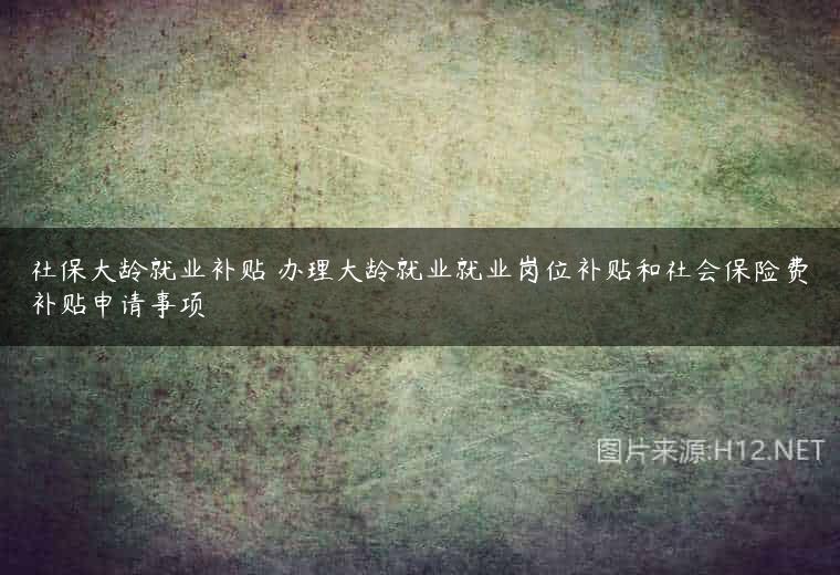 社保大龄就业补贴 办理大龄就业就业岗位补贴和社会保险费补贴申请事项