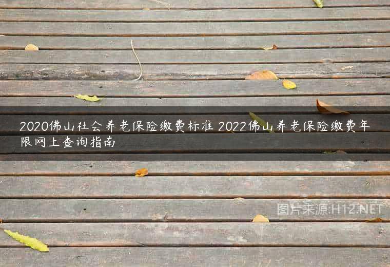 2020佛山社会养老保险缴费标准 2022佛山养老保险缴费年限网上查询指南