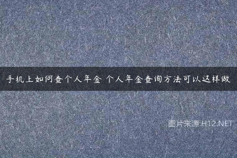 手机上如何查个人年金 个人年金查询方法可以这样做