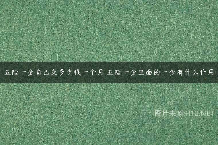 五险一金自己交多少钱一个月 五险一金里面的一金有什么作用