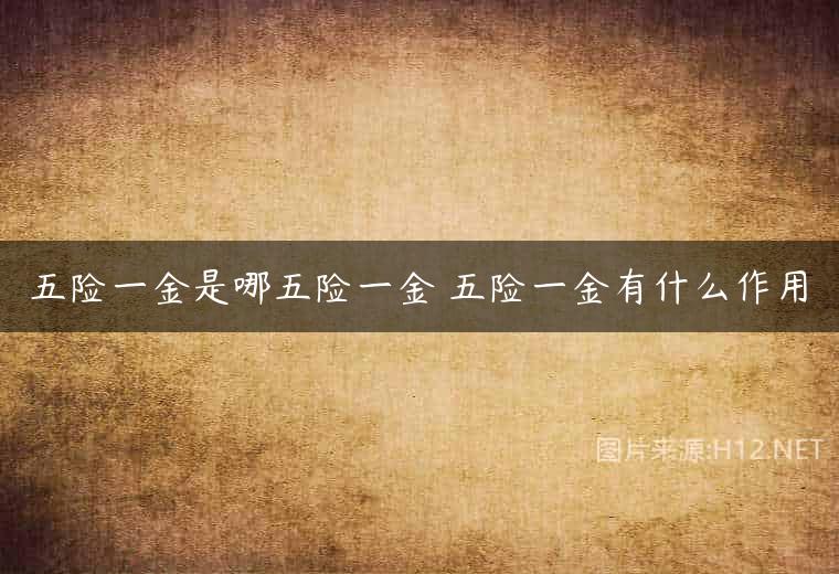 五险一金是哪五险一金 五险一金有什么作用