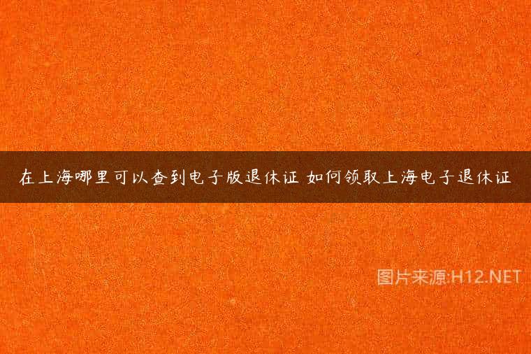 在上海哪里可以查到电子版退休证 如何领取上海电子退休证
