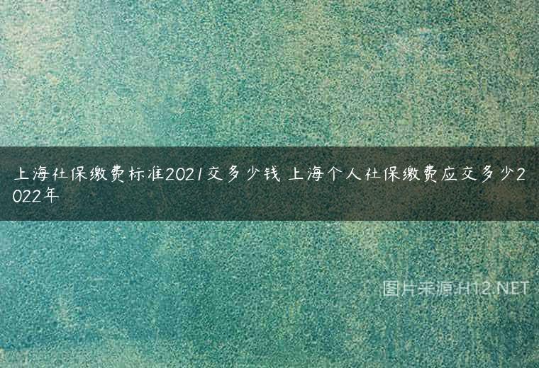上海社保缴费标准2021交多少钱 上海个人社保缴费应交多少2022年