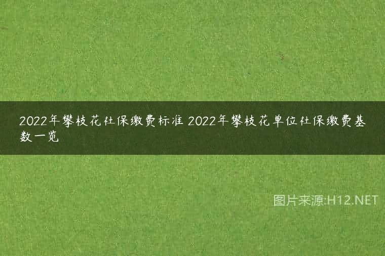 2022年攀枝花社保缴费标准 2022年攀枝花单位社保缴费基数一览