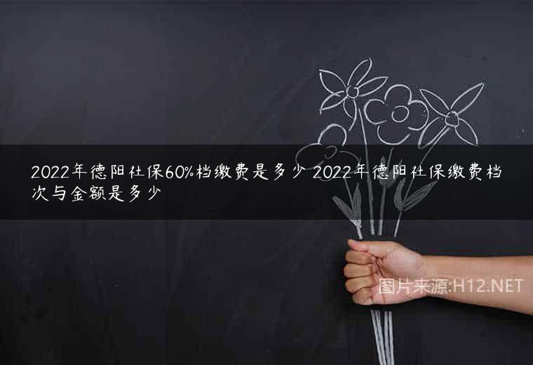 2022年德阳社保60%档缴费是多少 2022年德阳社保缴费档次与金额是多少