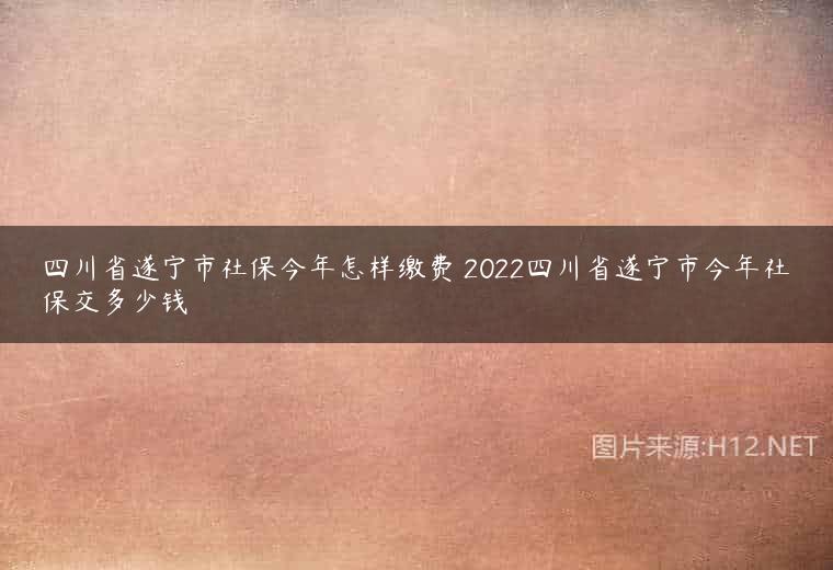 四川省遂宁市社保今年怎样缴费 2022四川省遂宁市今年社保交多少钱