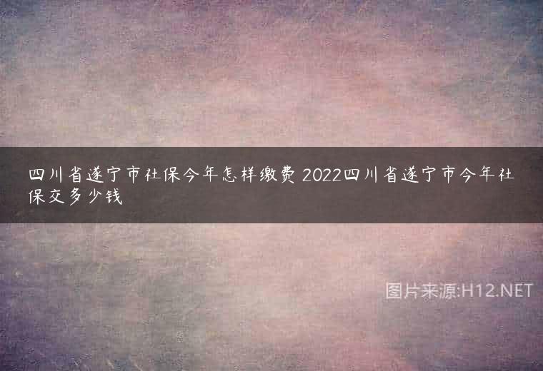 四川省遂宁市社保今年怎样缴费 2022四川省遂宁市今年社保交多少钱