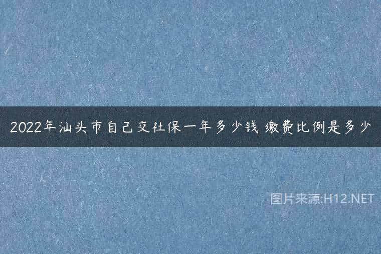 2022年汕头市自己交社保一年多少钱 缴费比例是多少