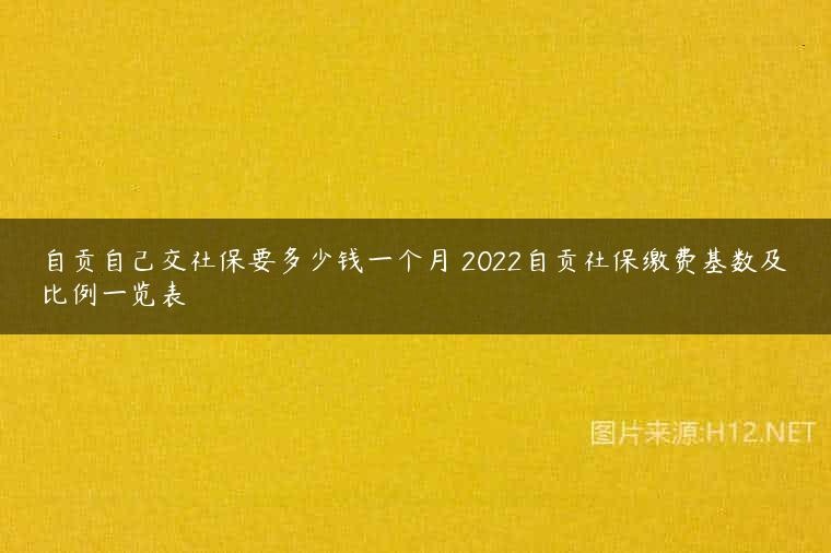 自贡自己交社保要多少钱一个月 2022自贡社保缴费基数及比例一览表