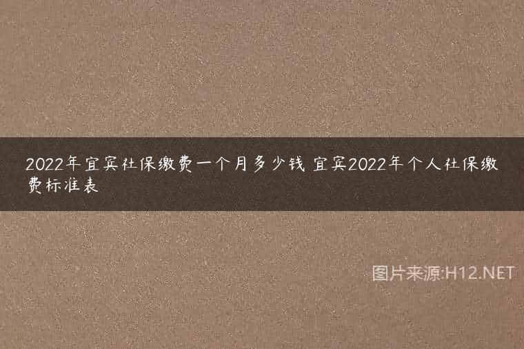 2022年宜宾社保缴费一个月多少钱 宜宾2022年个人社保缴费标准表