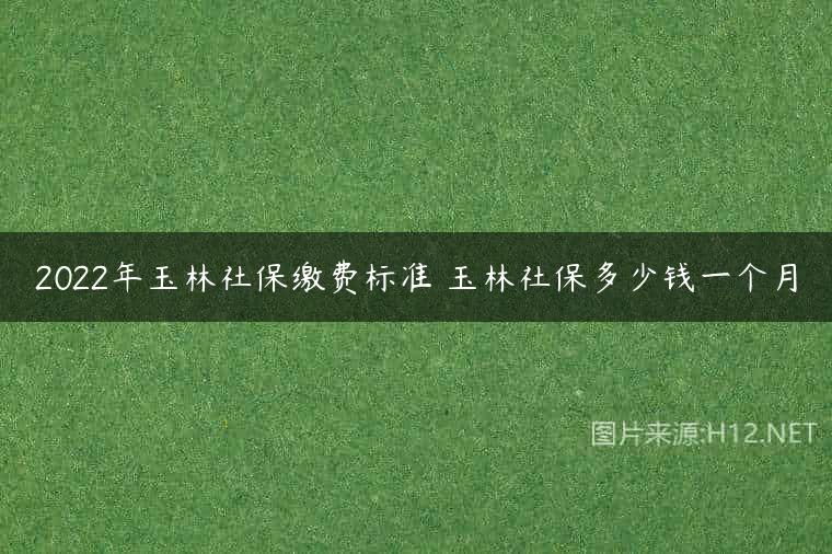 2022年玉林社保缴费标准 玉林社保多少钱一个月