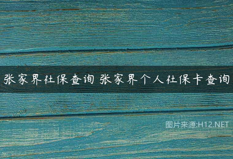 张家界社保查询 张家界个人社保卡查询