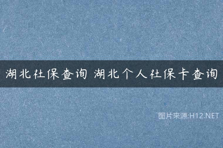 湖北社保查询 湖北个人社保卡查询