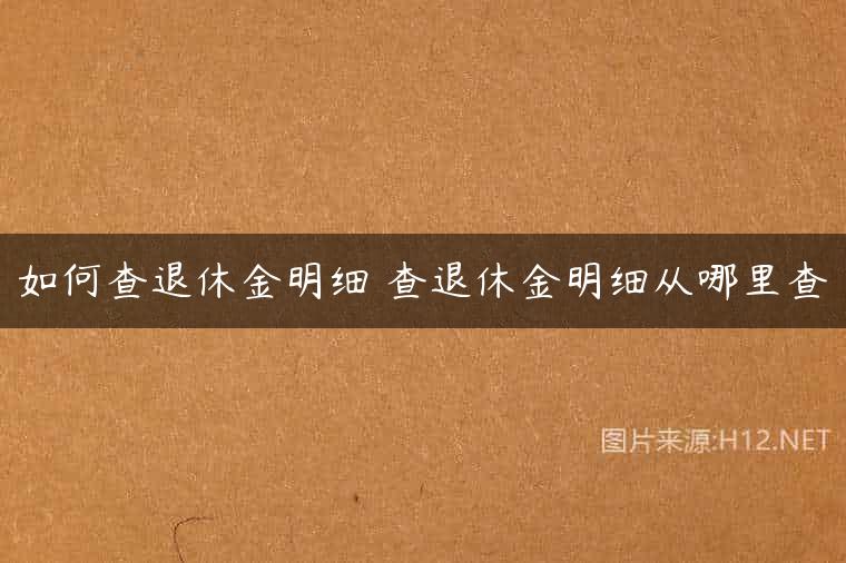 如何查退休金明细 查退休金明细从哪里查