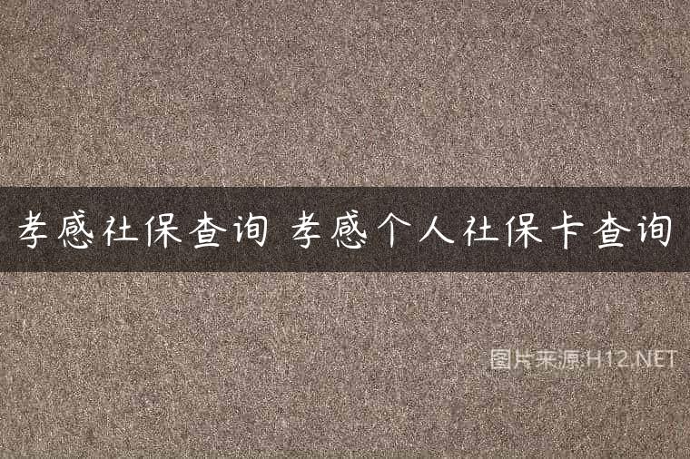 孝感社保查询 孝感个人社保卡查询