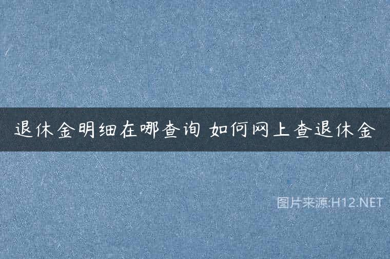 退休金明细在哪查询 如何网上查退休金