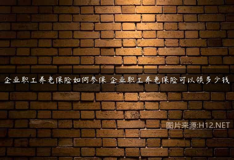 企业职工养老保险如何参保 企业职工养老保险可以领多少钱
