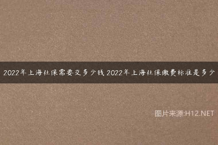 2022年上海社保需要交多少钱 2022年上海社保缴费标准是多少