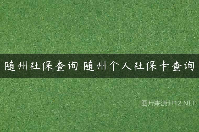 随州社保查询 随州个人社保卡查询