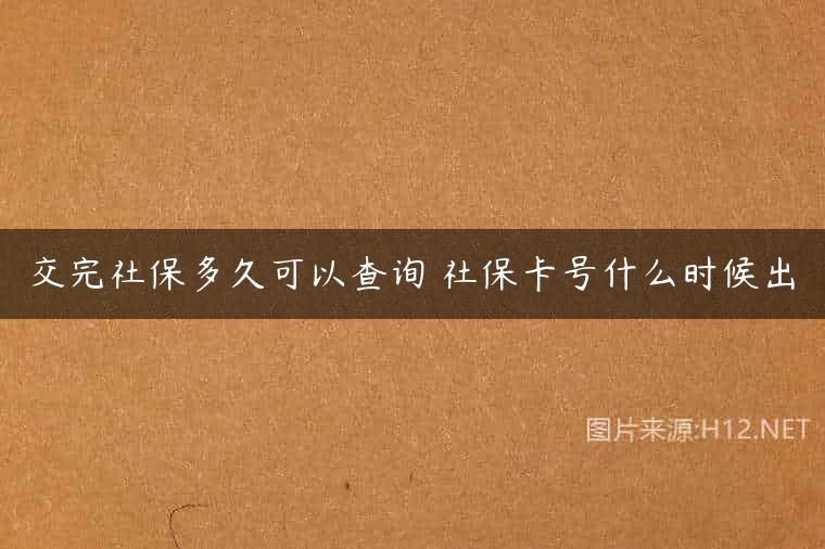 交完社保多久可以查询 社保卡号什么时候出