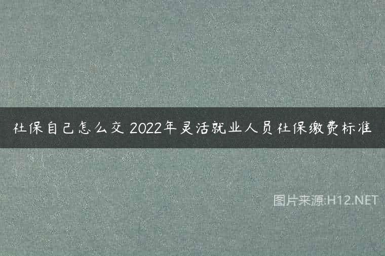 社保自己怎么交 2022年灵活就业人员社保缴费标准