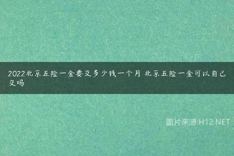 2022北京五险一金要交多少钱一个月 北京五险一金可以自己交吗