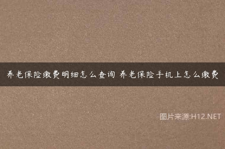 养老保险缴费明细怎么查询 养老保险手机上怎么缴费