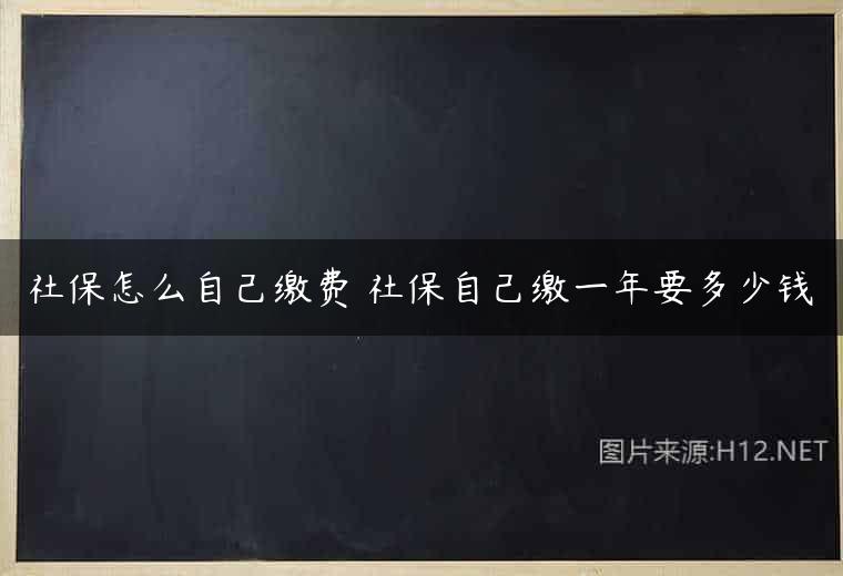 社保怎么自己缴费 社保自己缴一年要多少钱