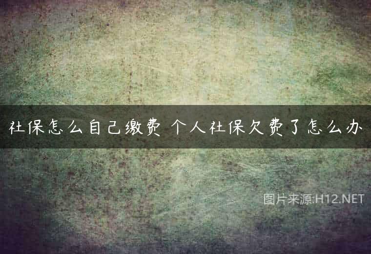 社保怎么自己缴费 个人社保欠费了怎么办