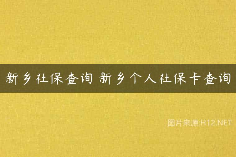 新乡社保查询 新乡个人社保卡查询