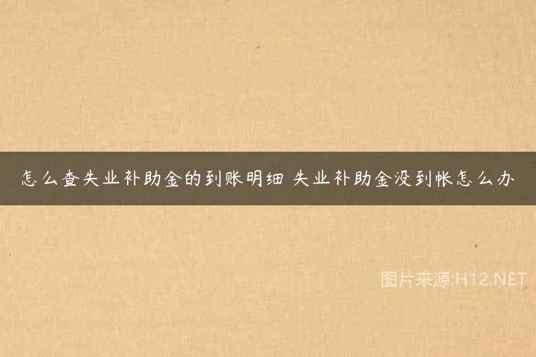 怎么查失业补助金的到账明细 失业补助金没到帐怎么办