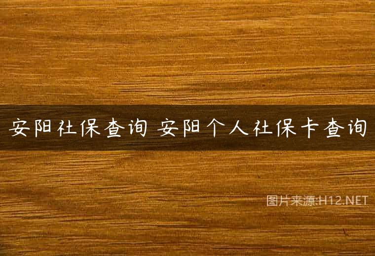安阳社保查询 安阳个人社保卡查询