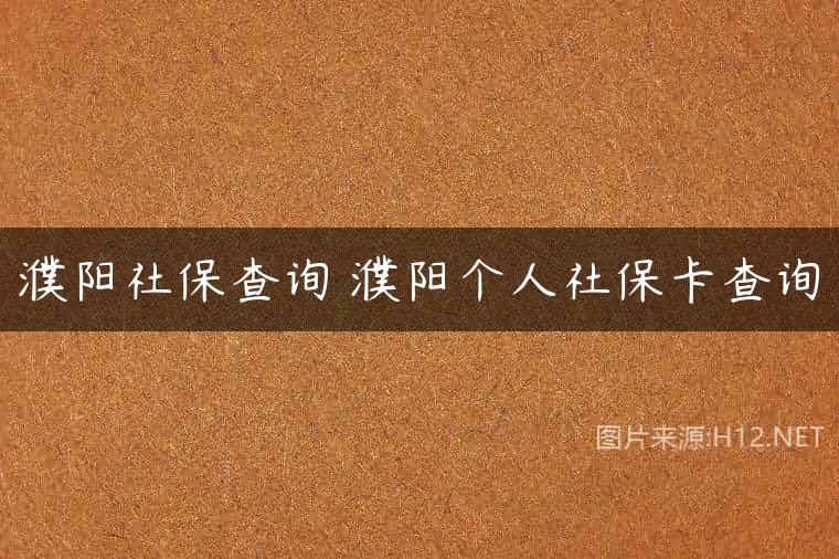 濮阳社保查询 濮阳个人社保卡查询