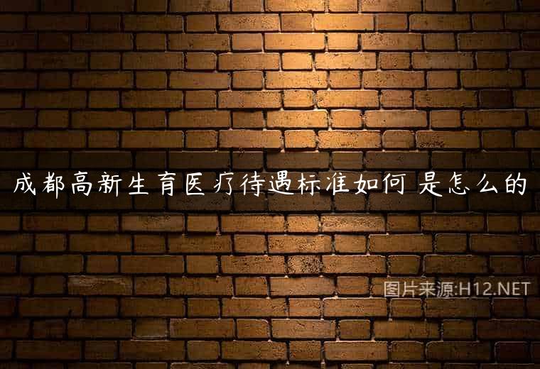 成都高新生育医疗待遇标准如何 是怎么的