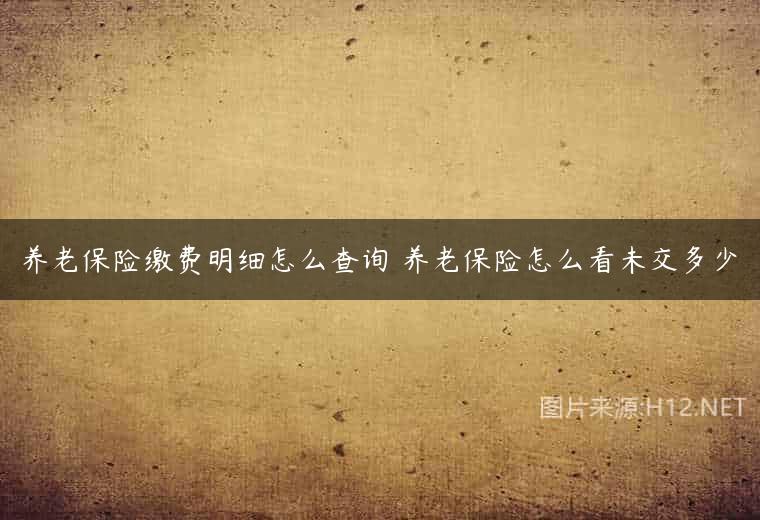 养老保险缴费明细怎么查询 养老保险怎么看未交多少