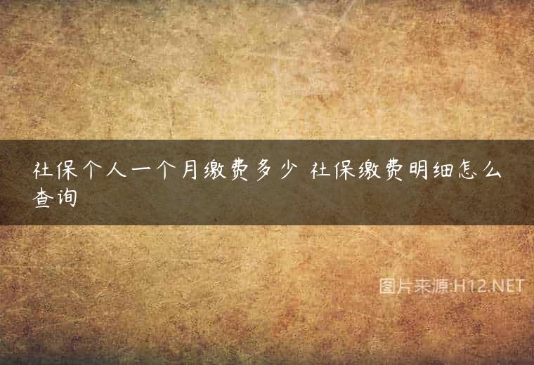 社保个人一个月缴费多少 社保缴费明细怎么查询