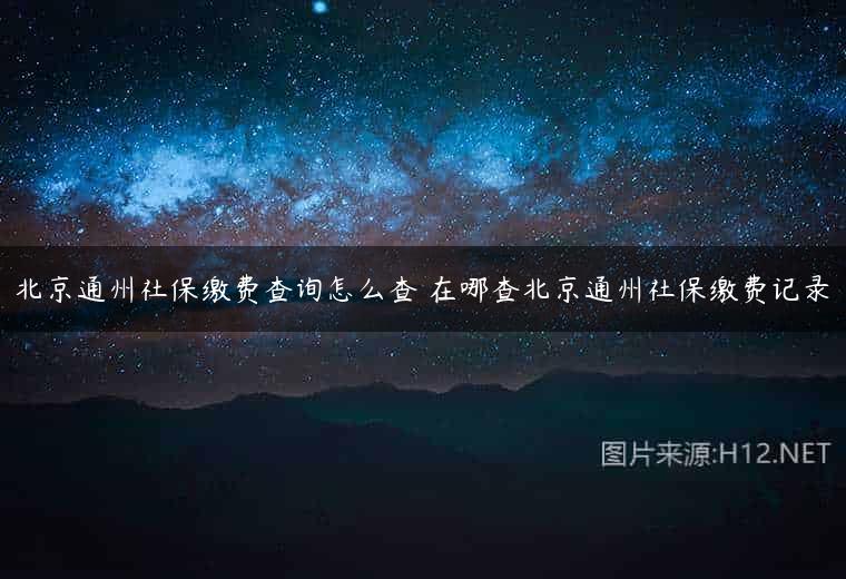 北京通州社保缴费查询怎么查 在哪查北京通州社保缴费记录