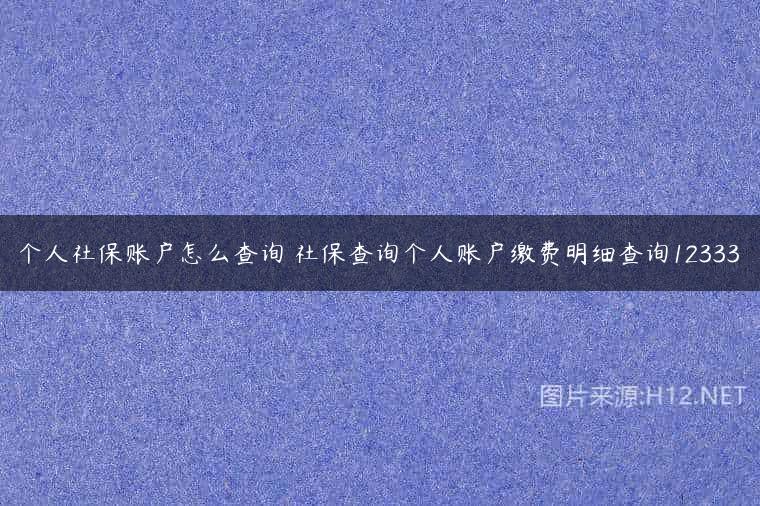 个人社保账户怎么查询 社保查询个人账户缴费明细查询12333