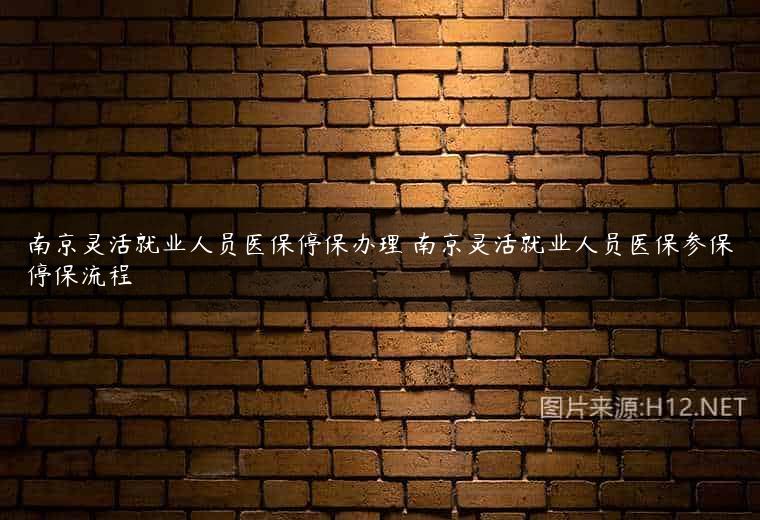 南京灵活就业人员医保停保办理 南京灵活就业人员医保参保停保流程